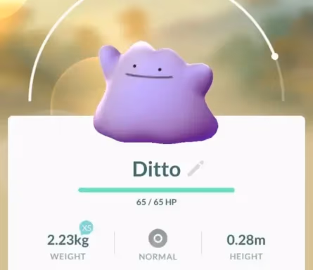 Ditto