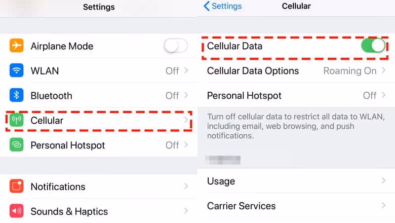 Switching from wireless to cellular data