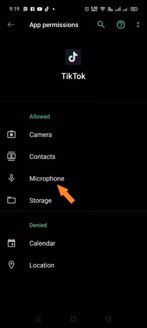 Select Microphone permissions under TikTok
