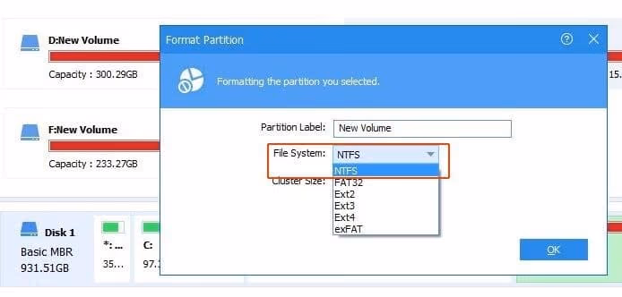 Format Partition