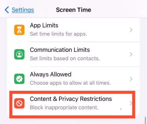 Content & Privacy Restrictions