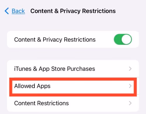 Content & Privacy Restrictions -> Allow Apps