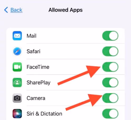 Enable "FaceTime and Camera"