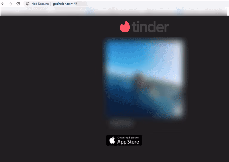 Through the Internet