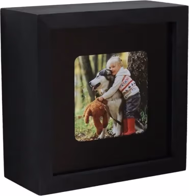 Conceal A Cam Photo Frame Enclosure