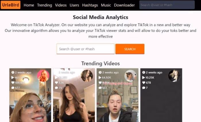 How to Find Content on TikTok using UrleBird?