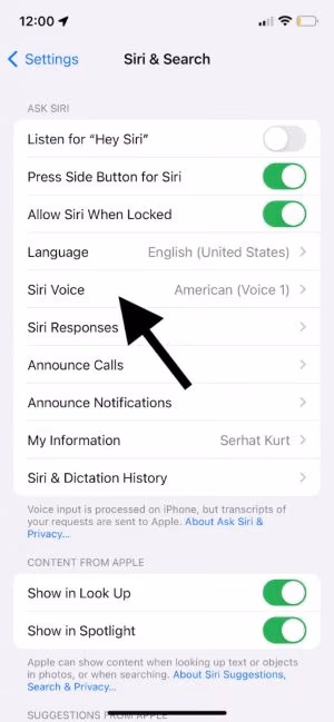 Siri Voice Option