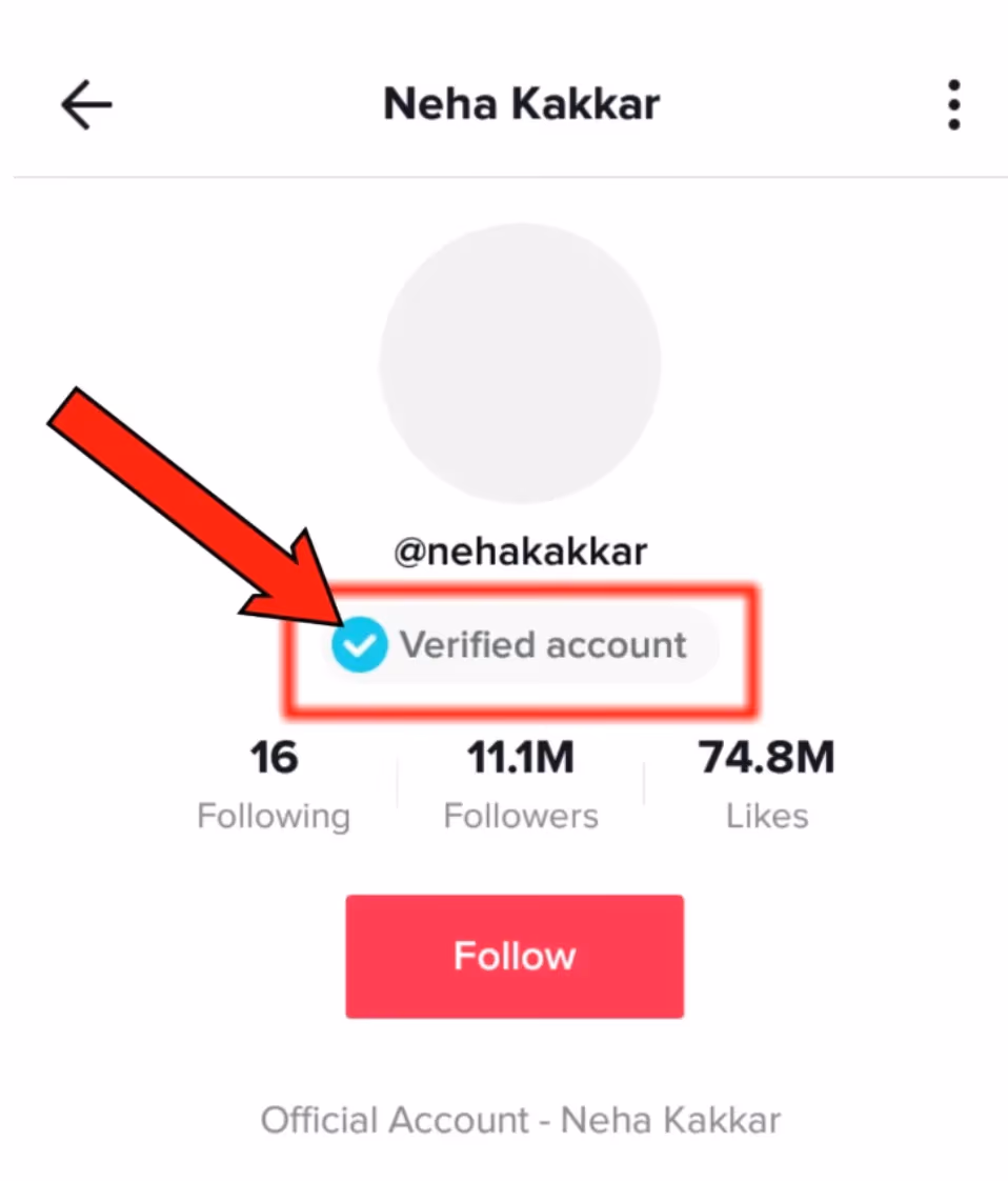 Tiktok Verification