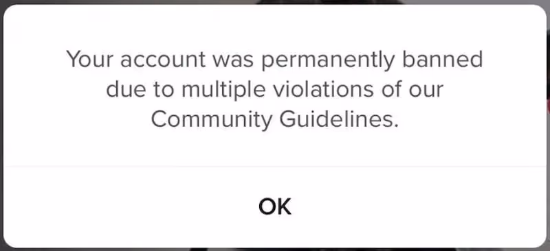 Permanent Ban on TikTok