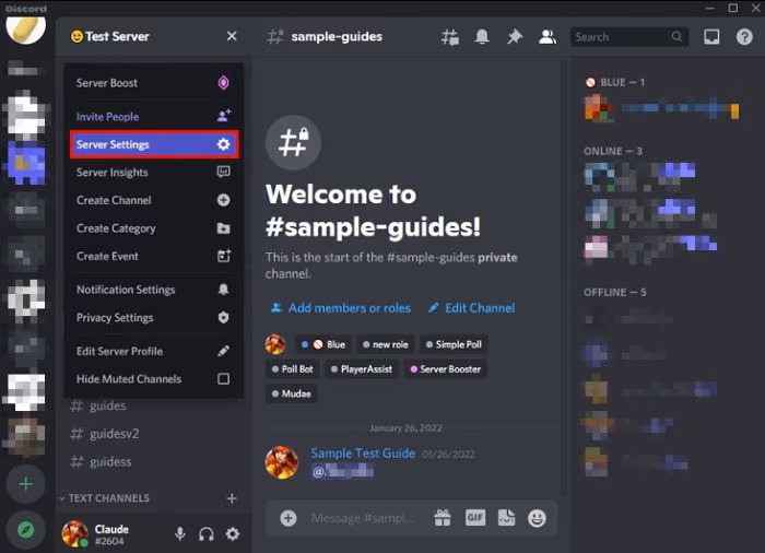 Discord Server Settings