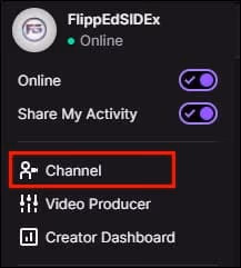 Twitch Channel