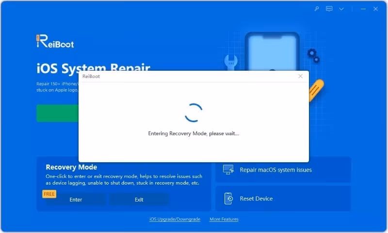 Tenorshare ReiBoot Enter Recovery Mode