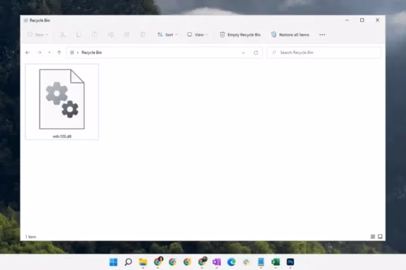Restore From Recycle Bin