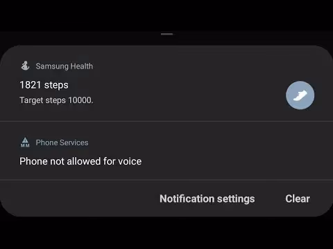Phone Not Allowed For Voice