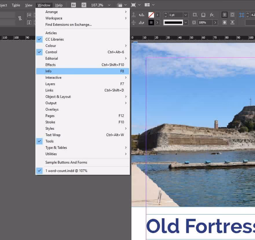 click "Windows > Info."