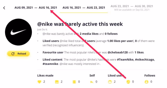 How to Use Snoopreport