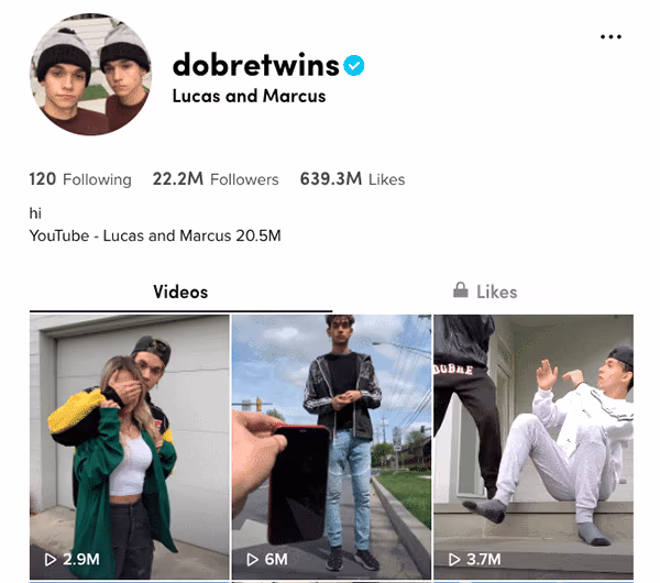 @dobretwins (Lucas Dobre and Marcus Dobre)