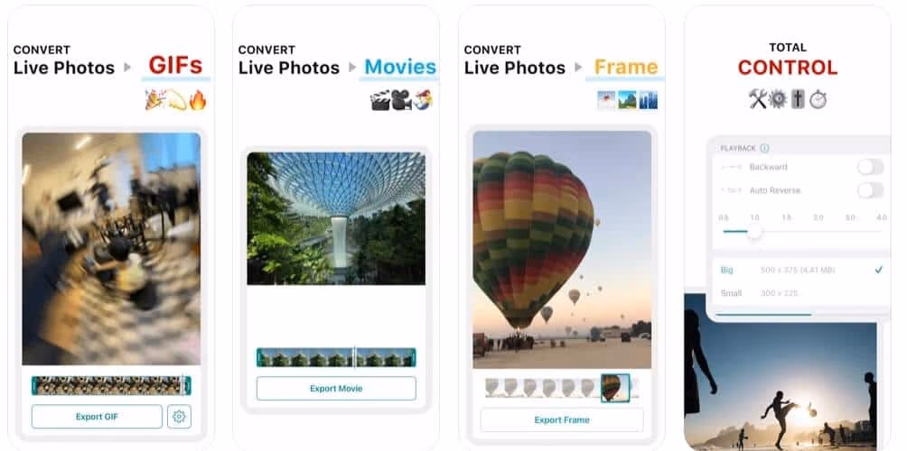 How to Make Live Photos into Video Using Lively App
