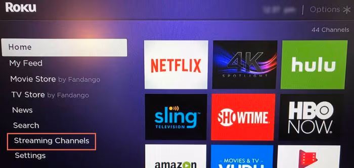 Roku Streaming Channels