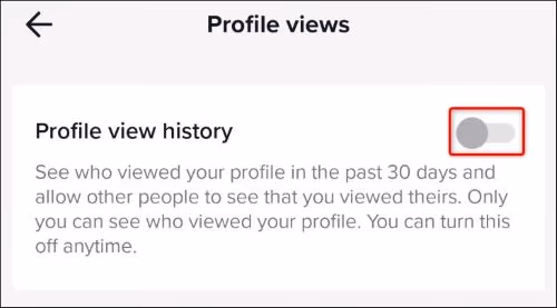 TikTok Profile view history