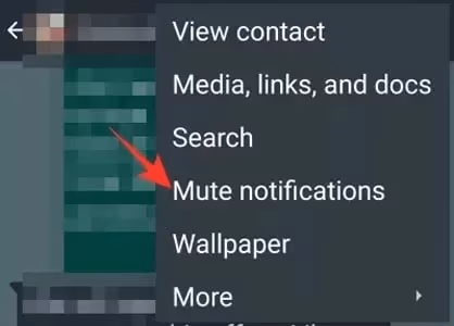 How can you mute another user on WhatsApp?