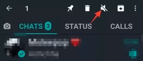 How can you mute another user on WhatsApp?