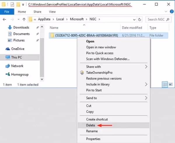 Delete the content on the NGC Folder